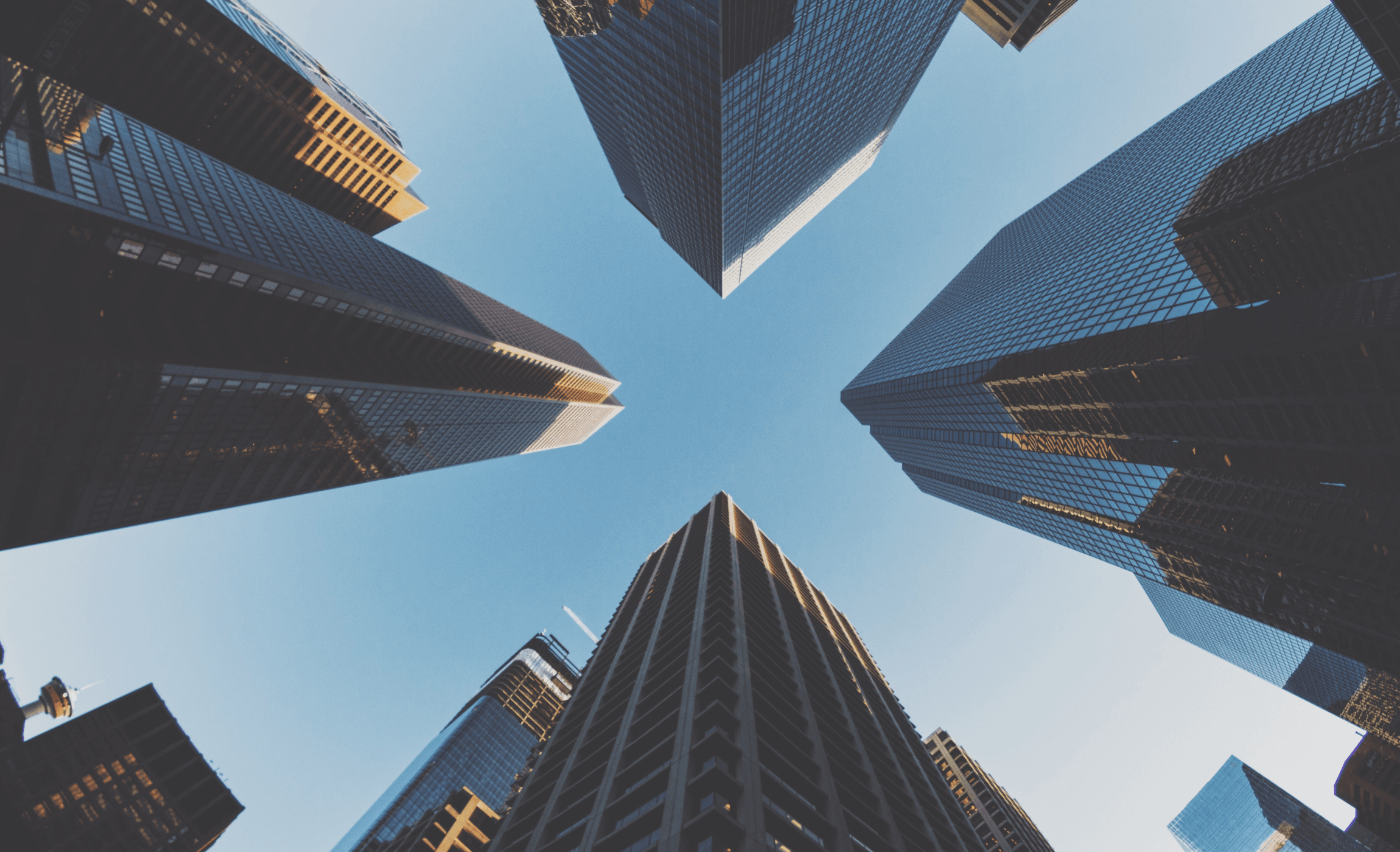 High Rise Sky Scrapers⁠