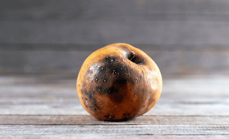 Bad and rotten apple. Ugly trendy bad apple on wooden background⁠ by Qwart