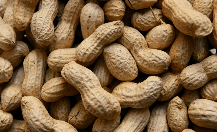 Peanuts by undefined