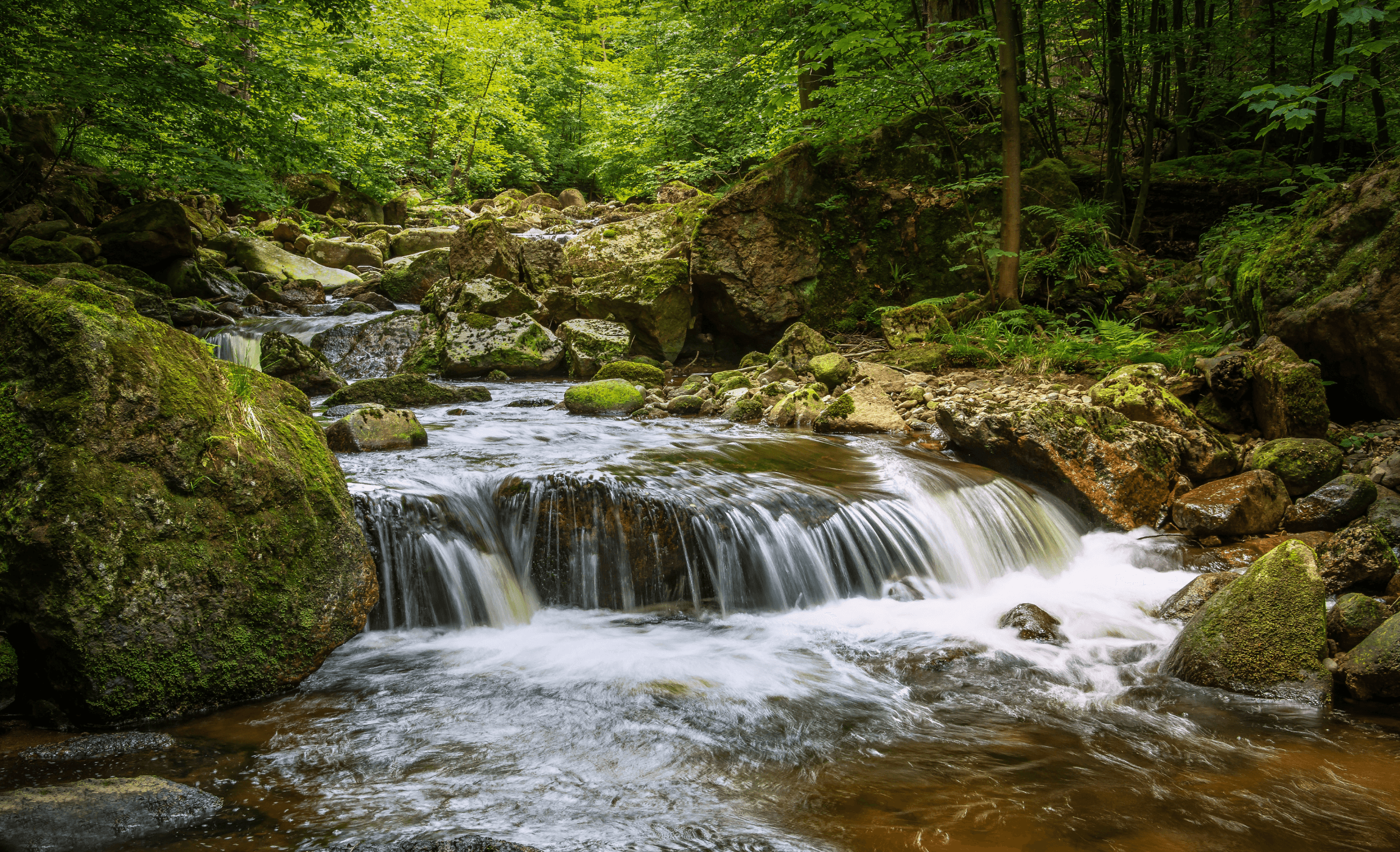 Cascade PAGES.POST.COVER_THUMBNAIL.BY_WHOM Cleverpix